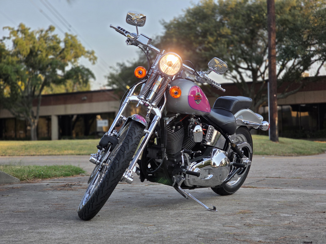 Springer® Softail®