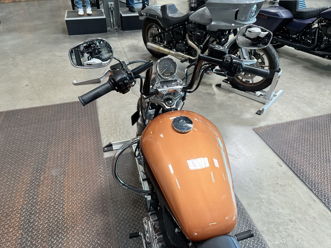 Sportster® 1200 Low Anniversary