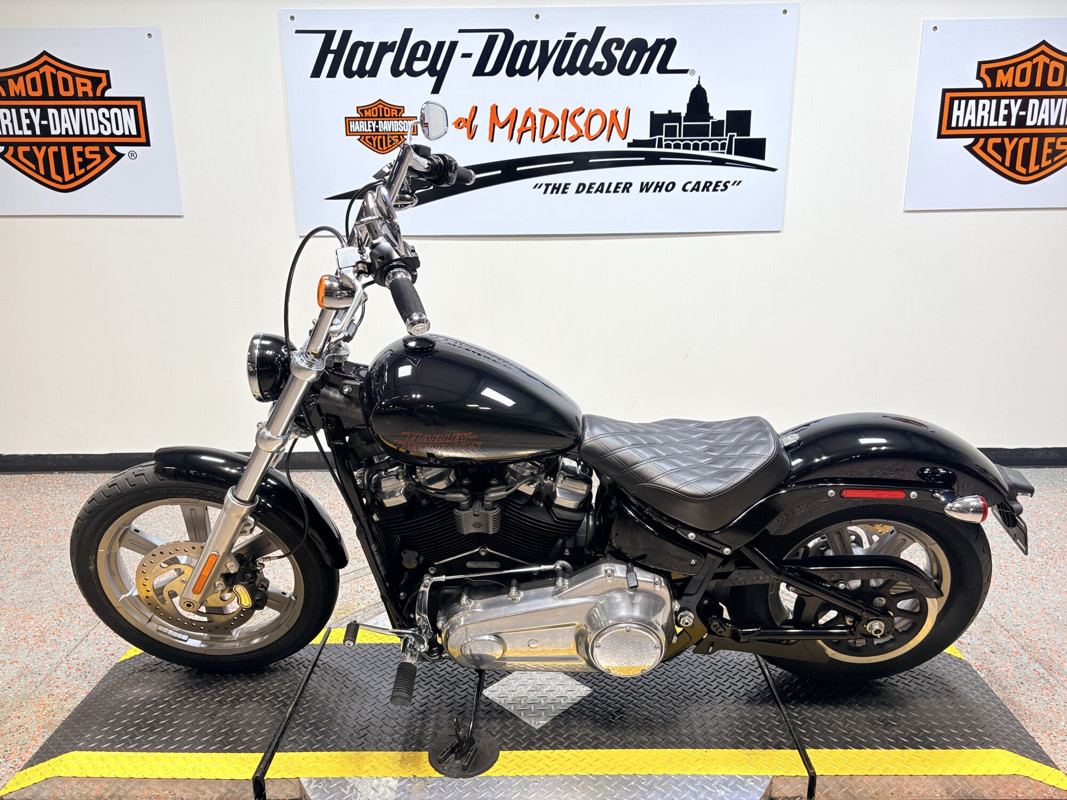 Softail® Standard