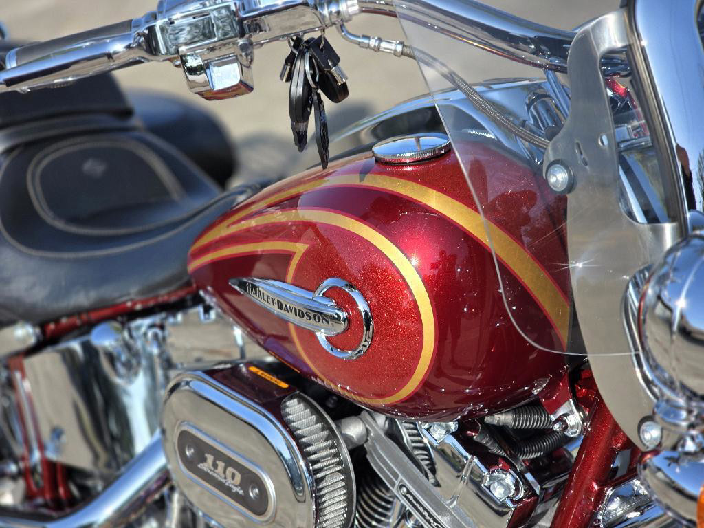 CVO® Softail® Deluxe
