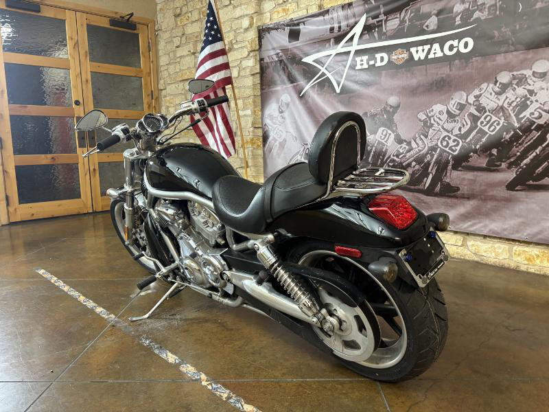V-Rod® - Silver/Gray Frame