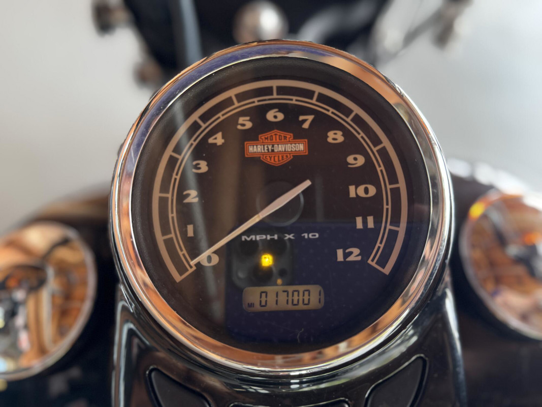 Softail® Cross Bones®