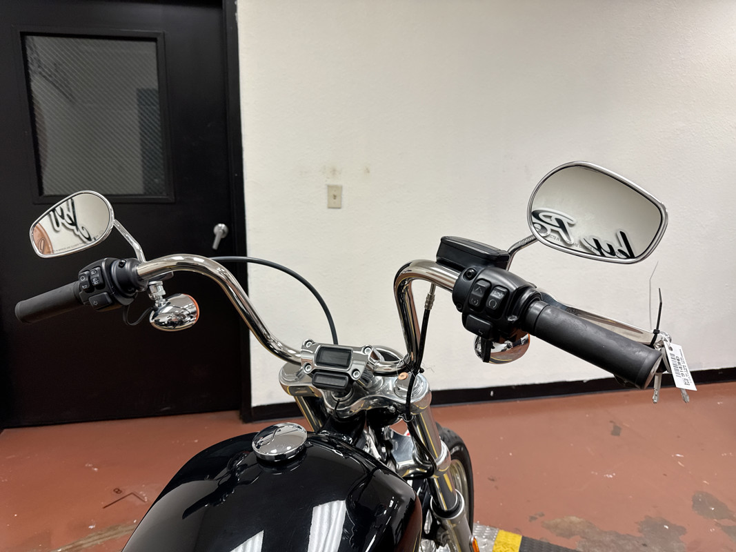 Softail® Standard