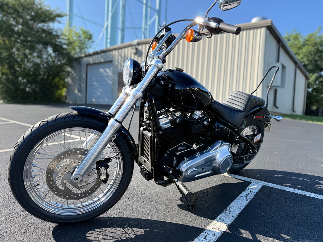 Softail® Standard