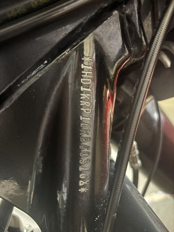 Street Glide® Special