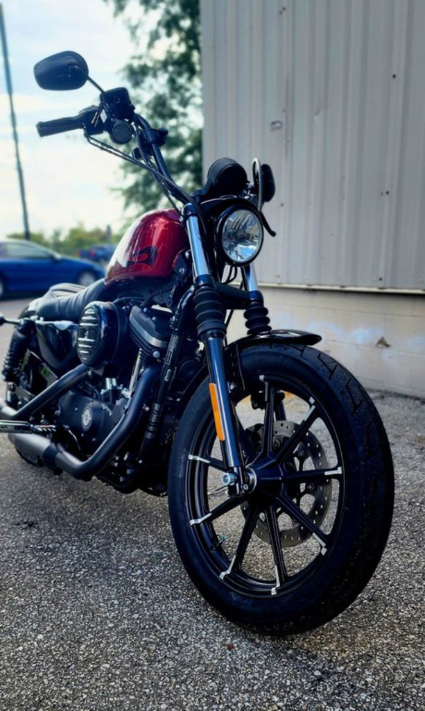 Sportster® Iron 883®