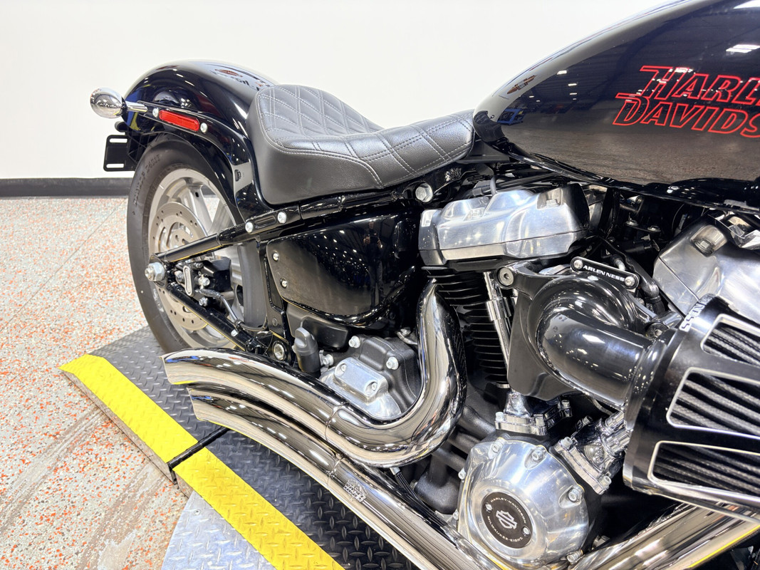Softail® Standard