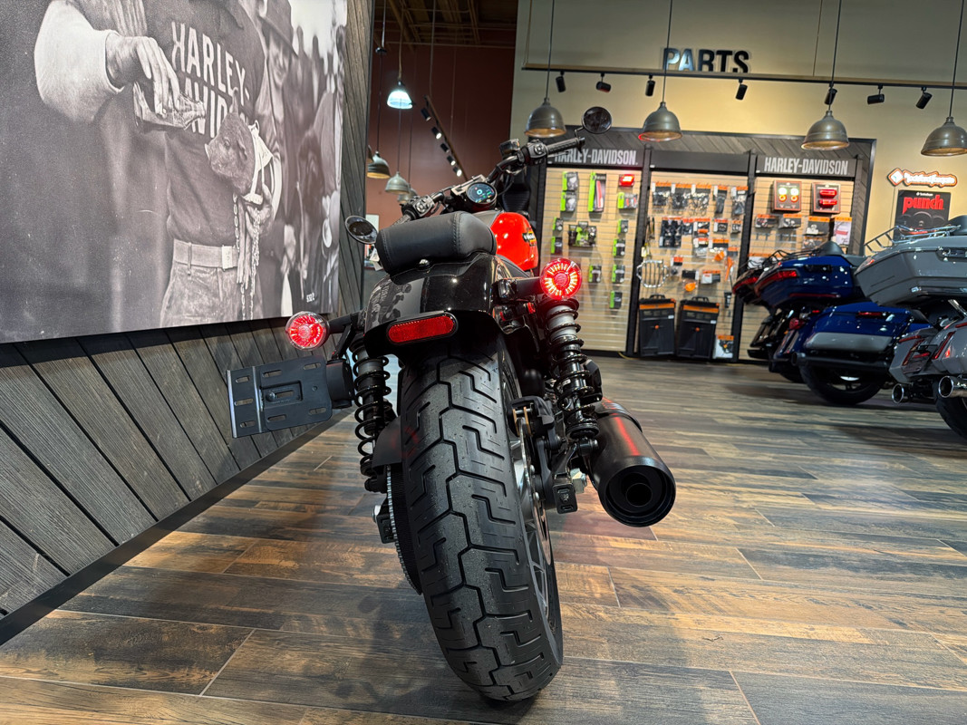 Nightster Special