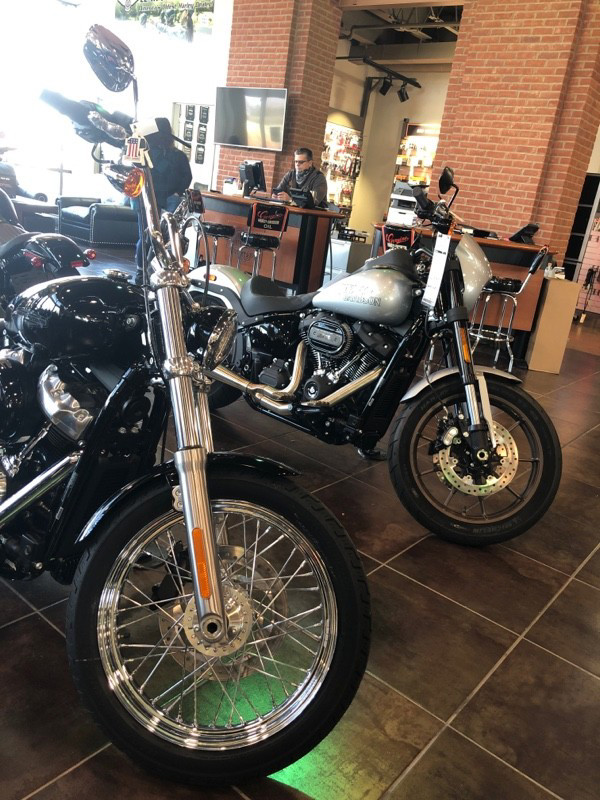 Softail® Standard