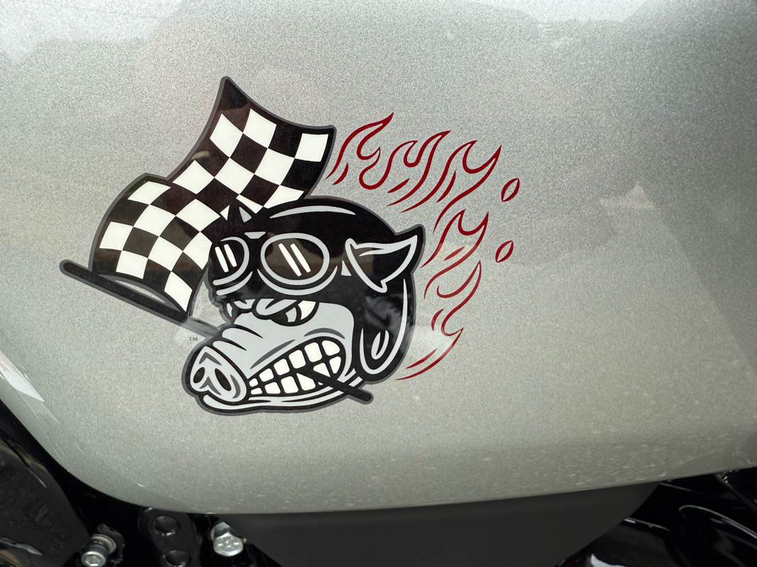 CVO® Road Glide® ST