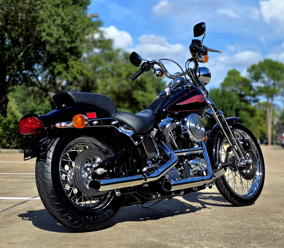 Springer® Softail®