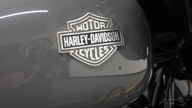 Road Glide® Special