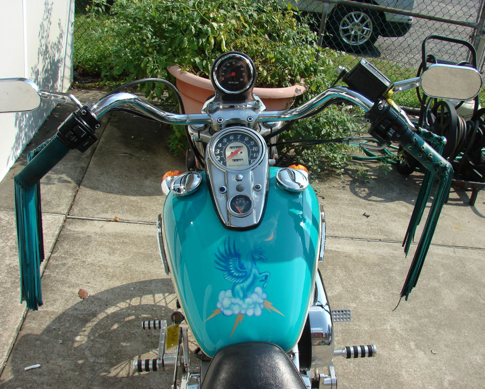 Sportster® 1200