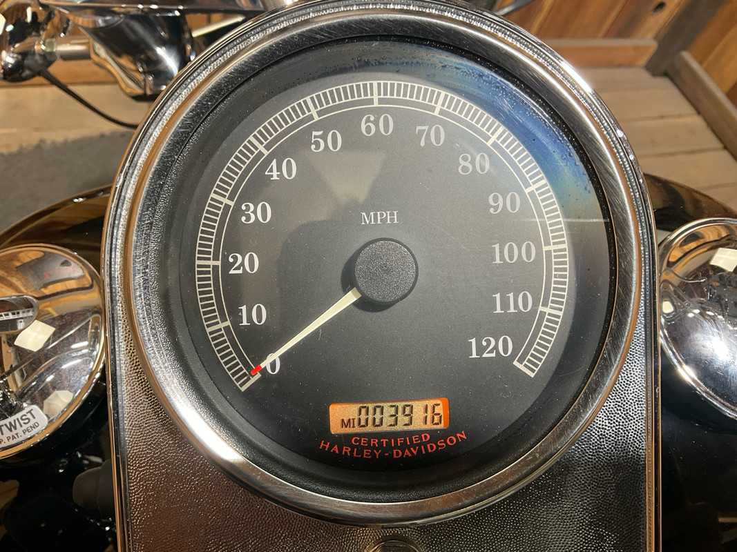 Softail® Standard