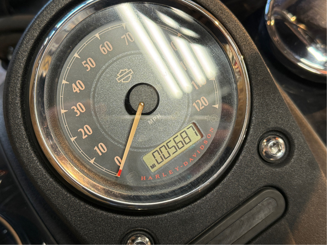 Dyna® Street Bob®