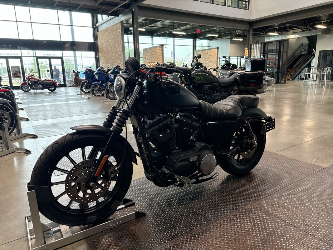 Sportster® Iron 883®