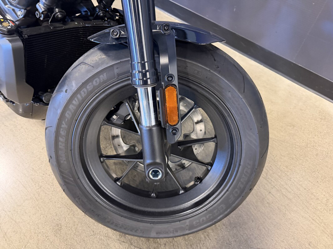 Sportster® S