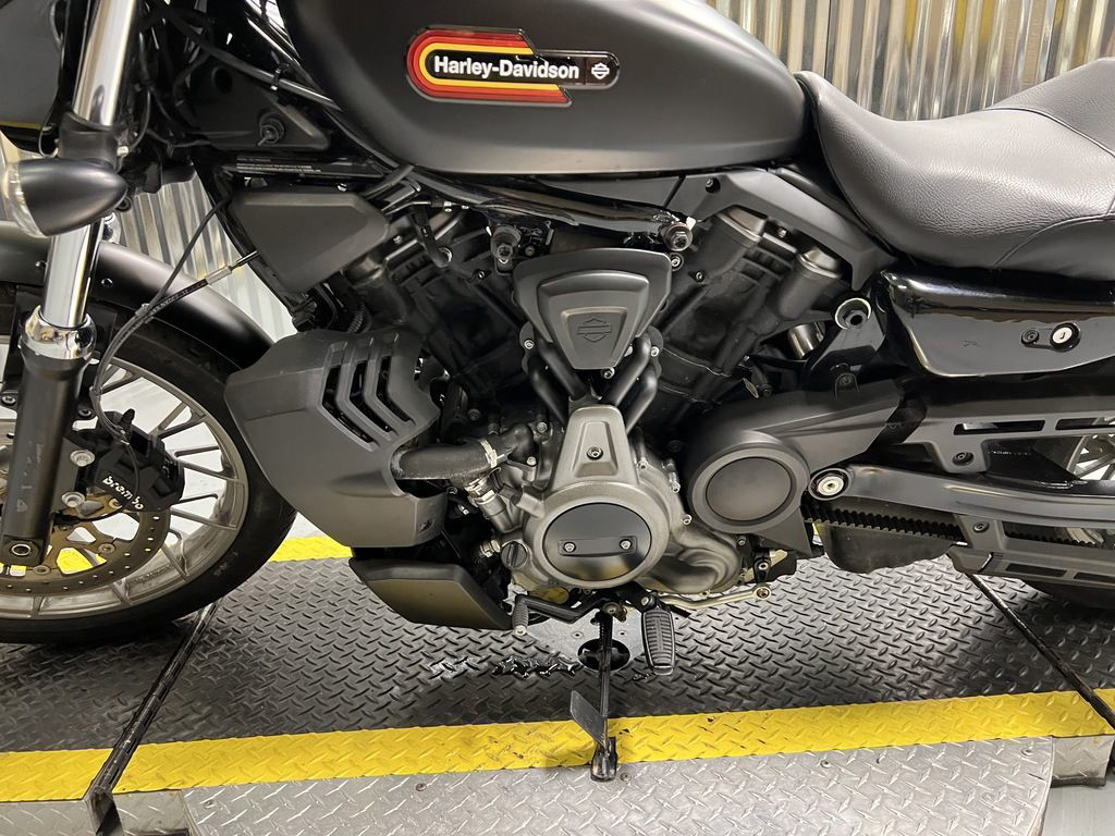 Nightster Special