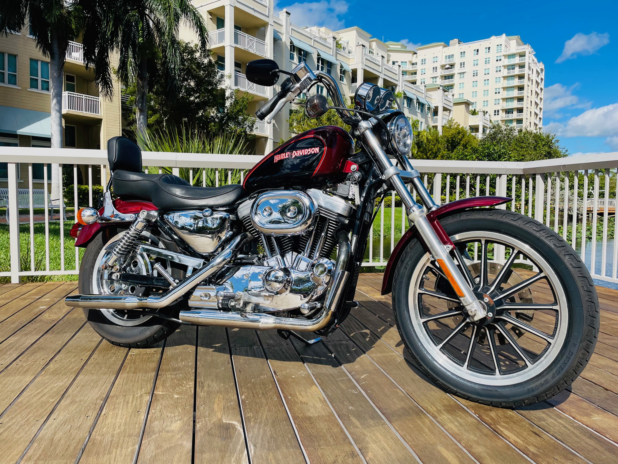 2000 Harley Davidson 1200 Sportster