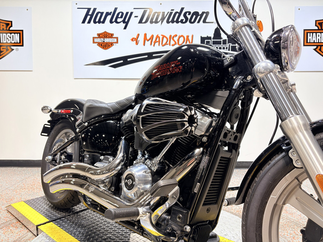 Softail® Standard