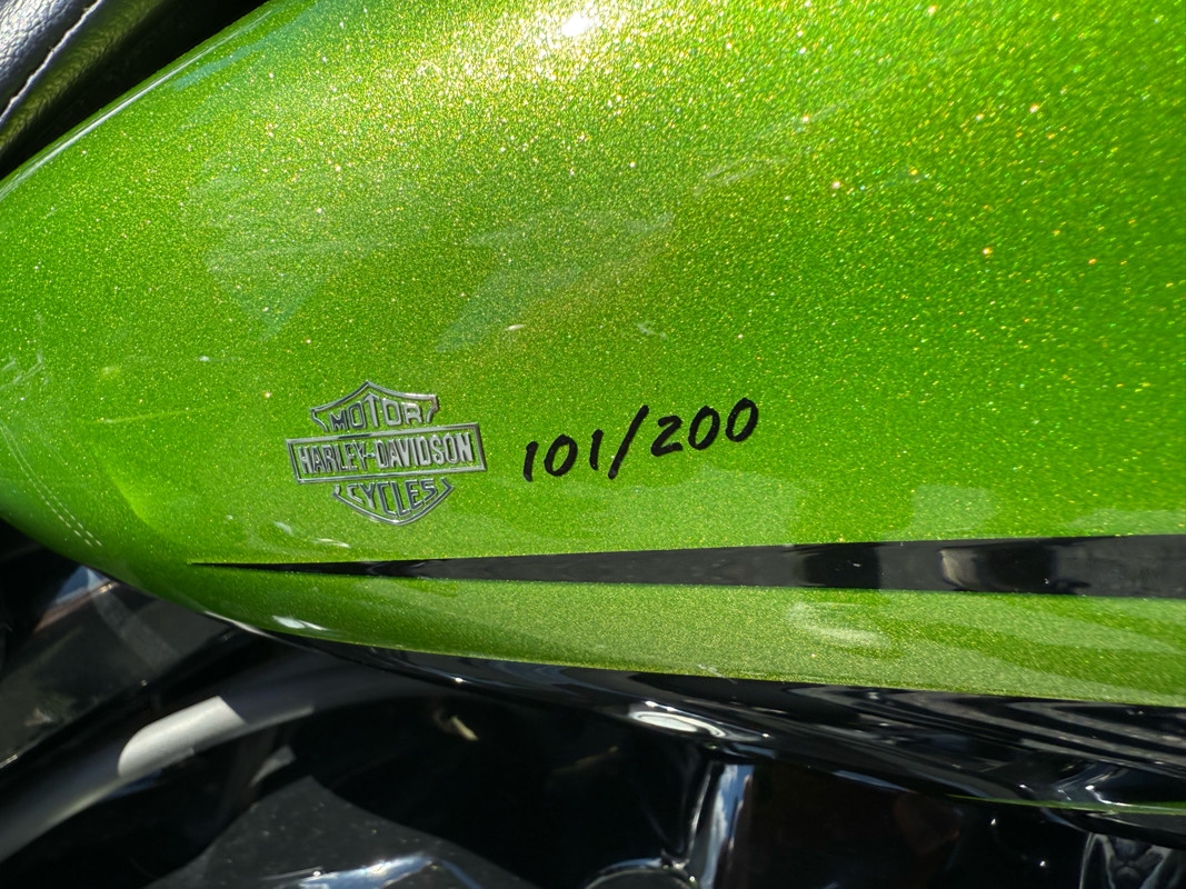 Road Glide® Special