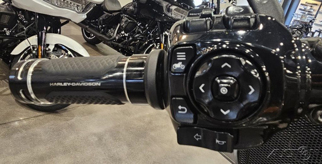 CVO® Street Glide®