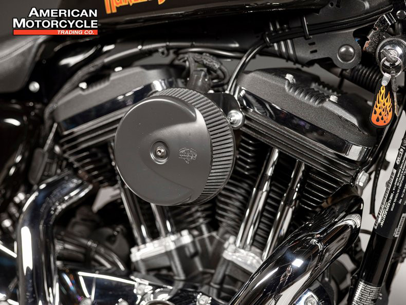 Sportster® Forty-Eight® Special