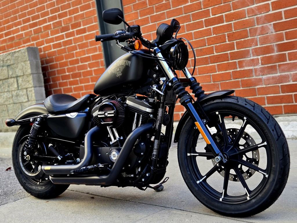 Sportster® Iron 883®