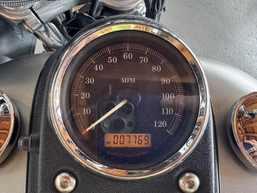 Dyna® Street Bob®