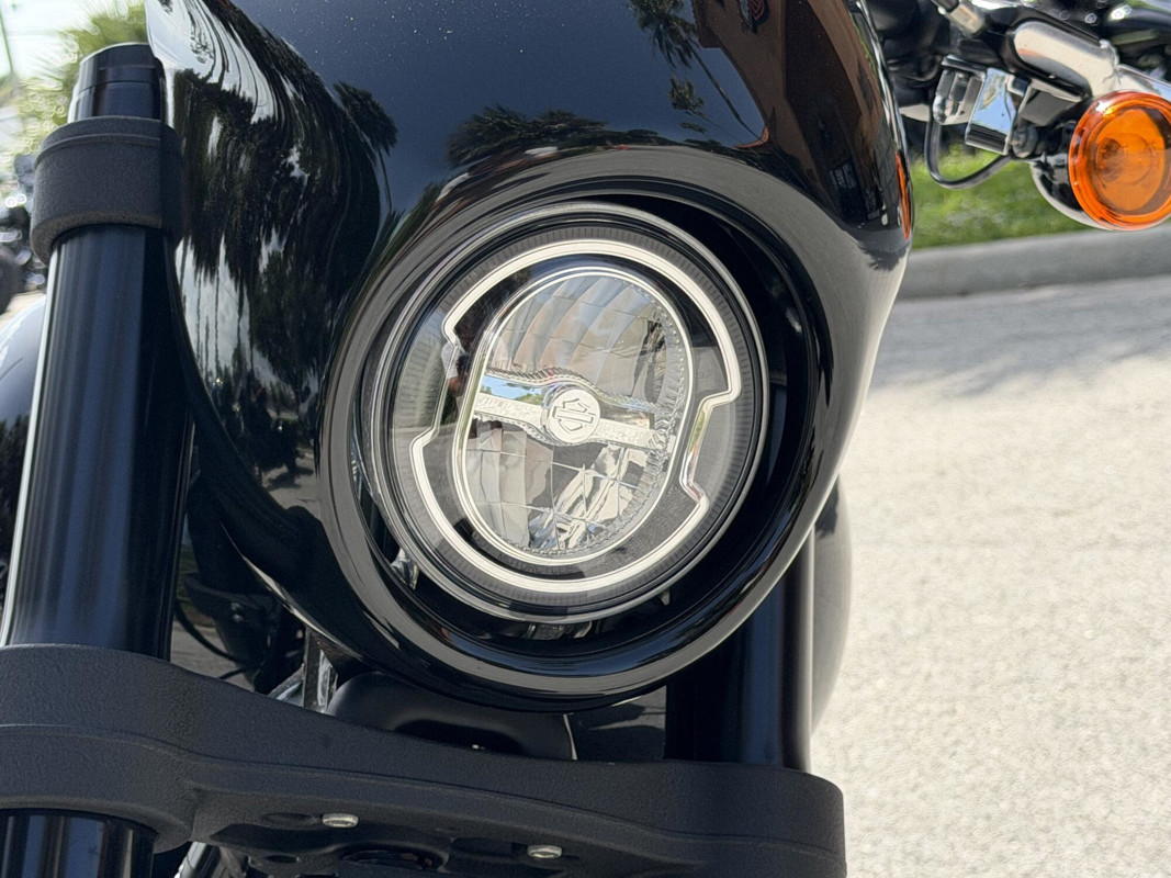 Low Rider® S
