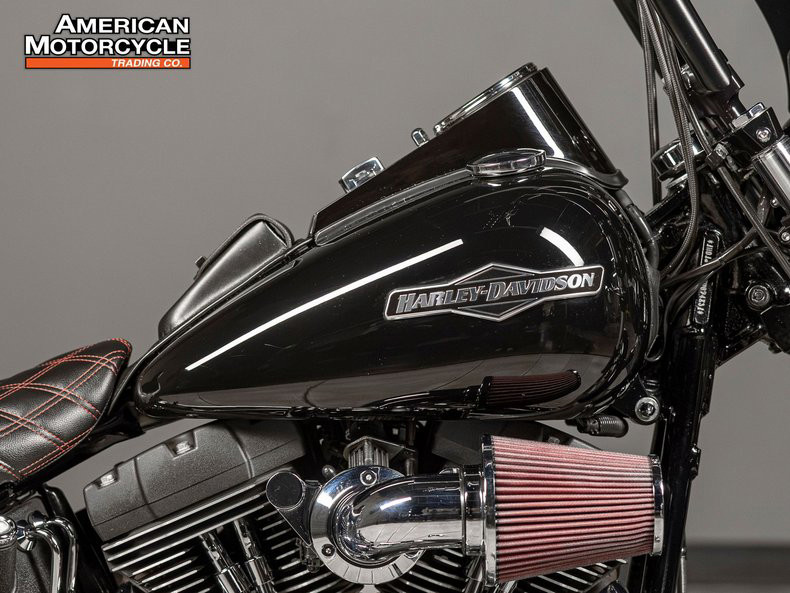 Softail® Night Train® 
