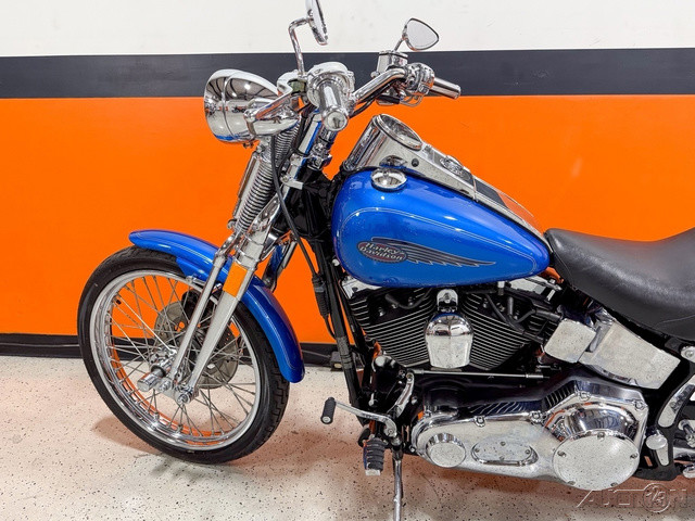 Springer® Softail®