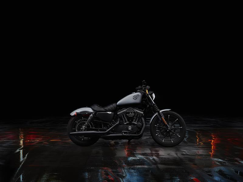 Iron 883®