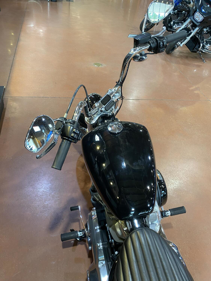 Softail® Standard