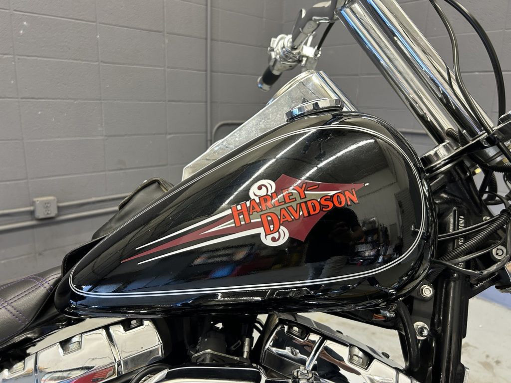 Softail® Custom