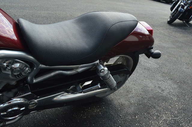 V-Rod®
