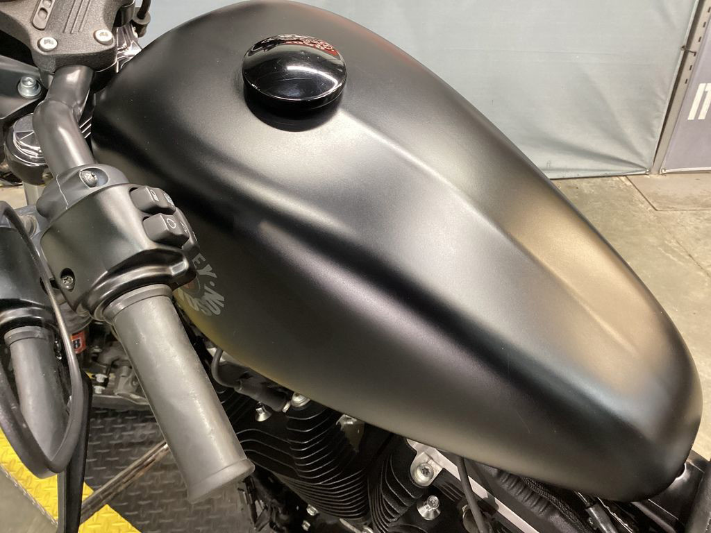 Iron 883®