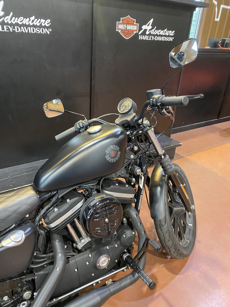 Iron 883®
