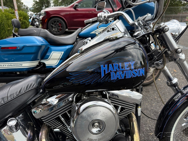 Softail® Custom