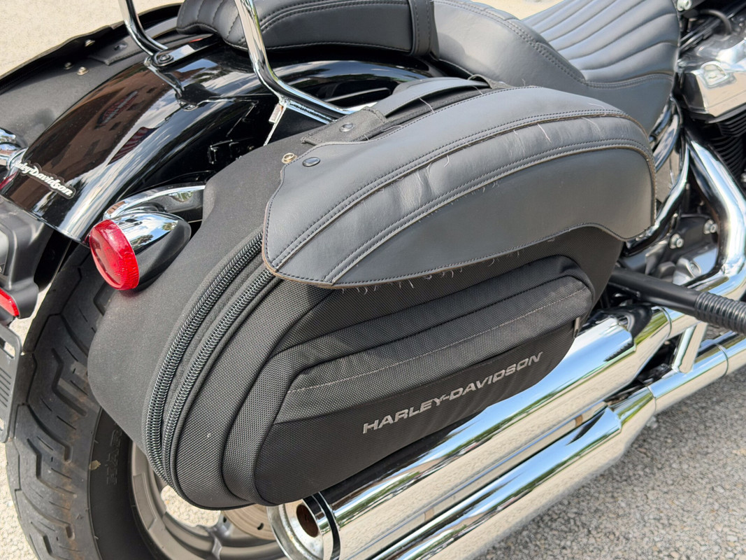 Softail® Standard