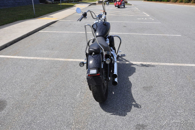 Softail® Standard