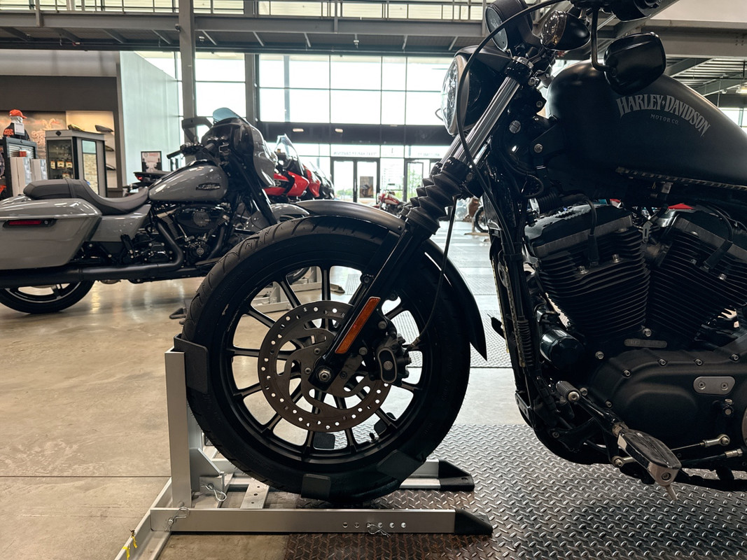 Sportster® Iron 883®