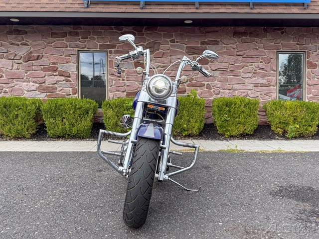 Softail® Fat Boy®