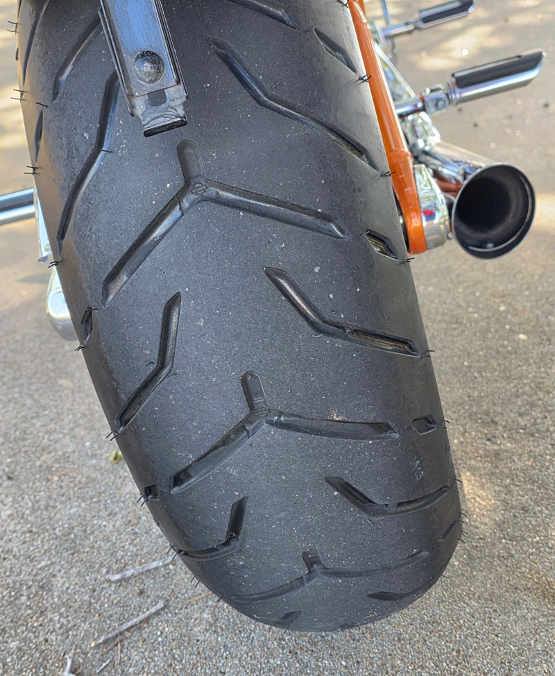 Screamin' Eagle® Softail® Springer®