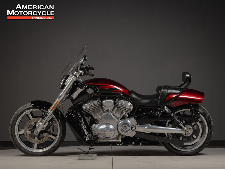 V-Rod® Muscle