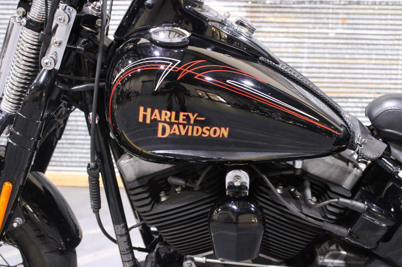 Softail® Cross Bones®