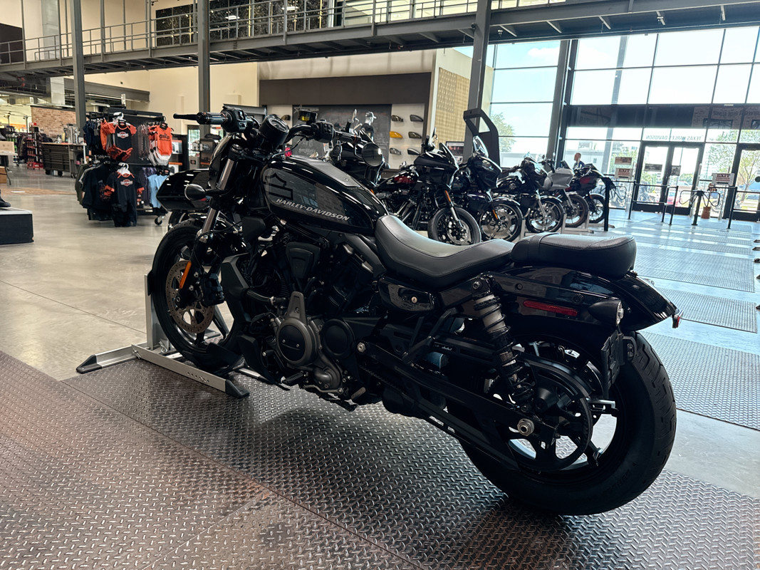 Nightster