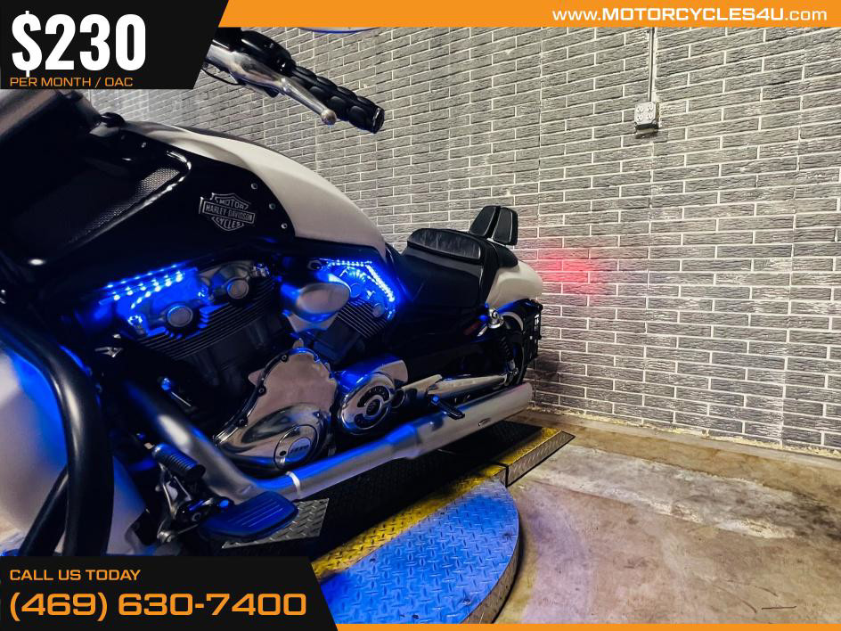 V-Rod® Muscle