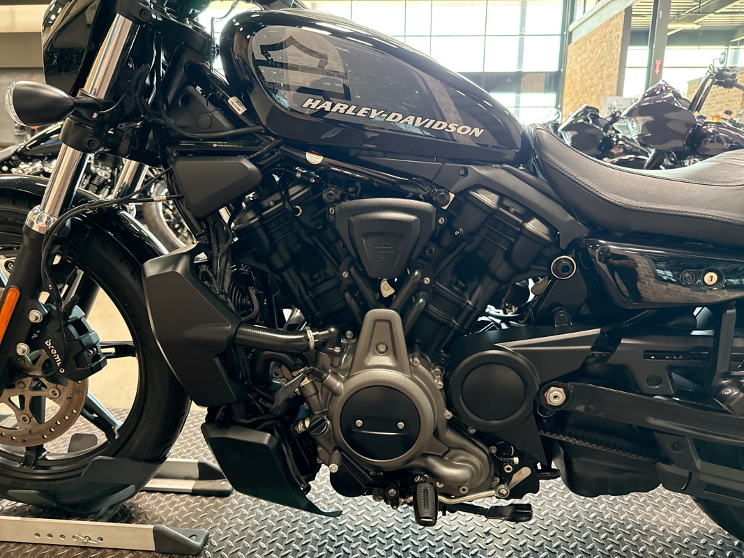 Nightster