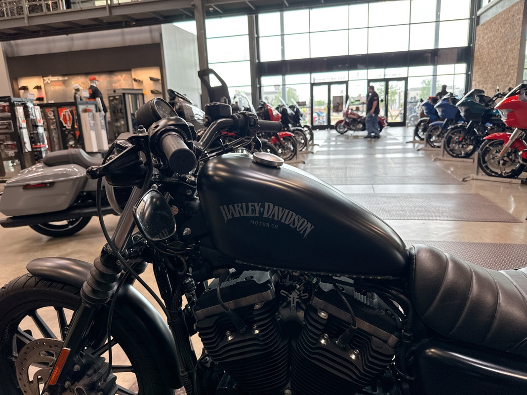 Sportster® Iron 883®